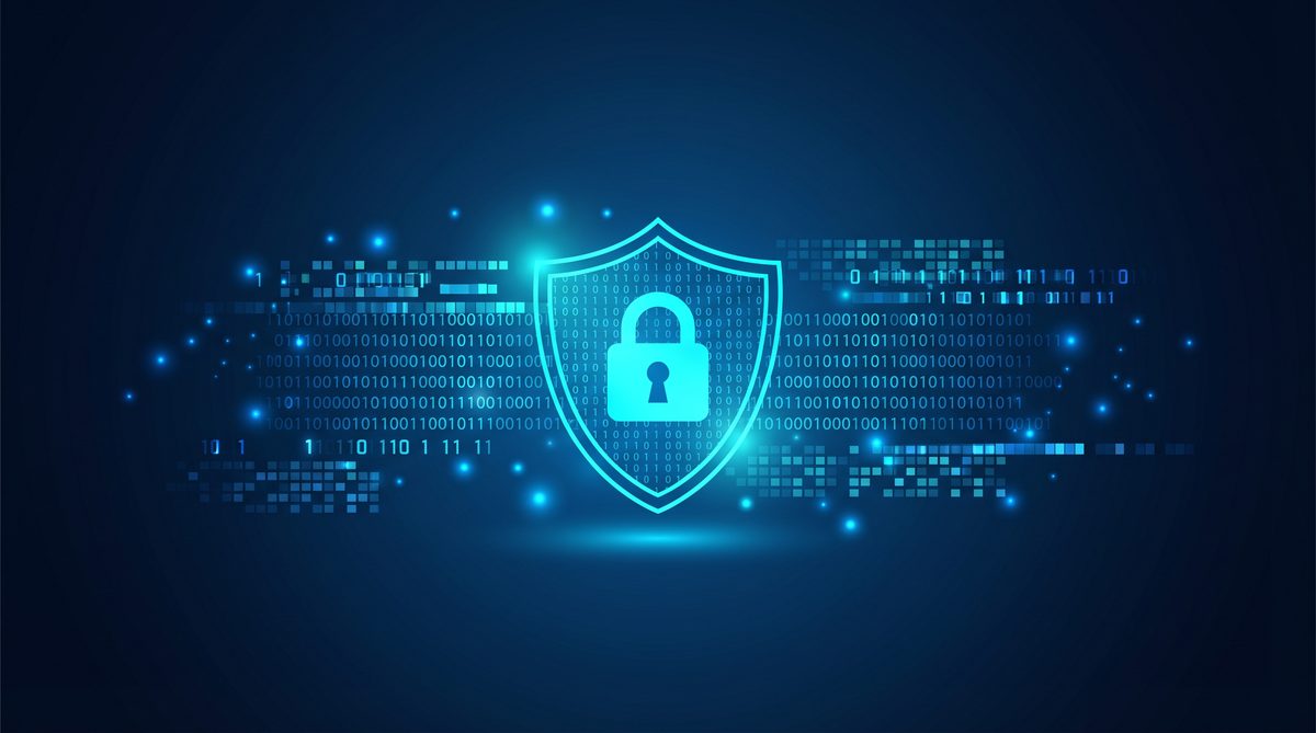 带鸟加速器隐私安全保护